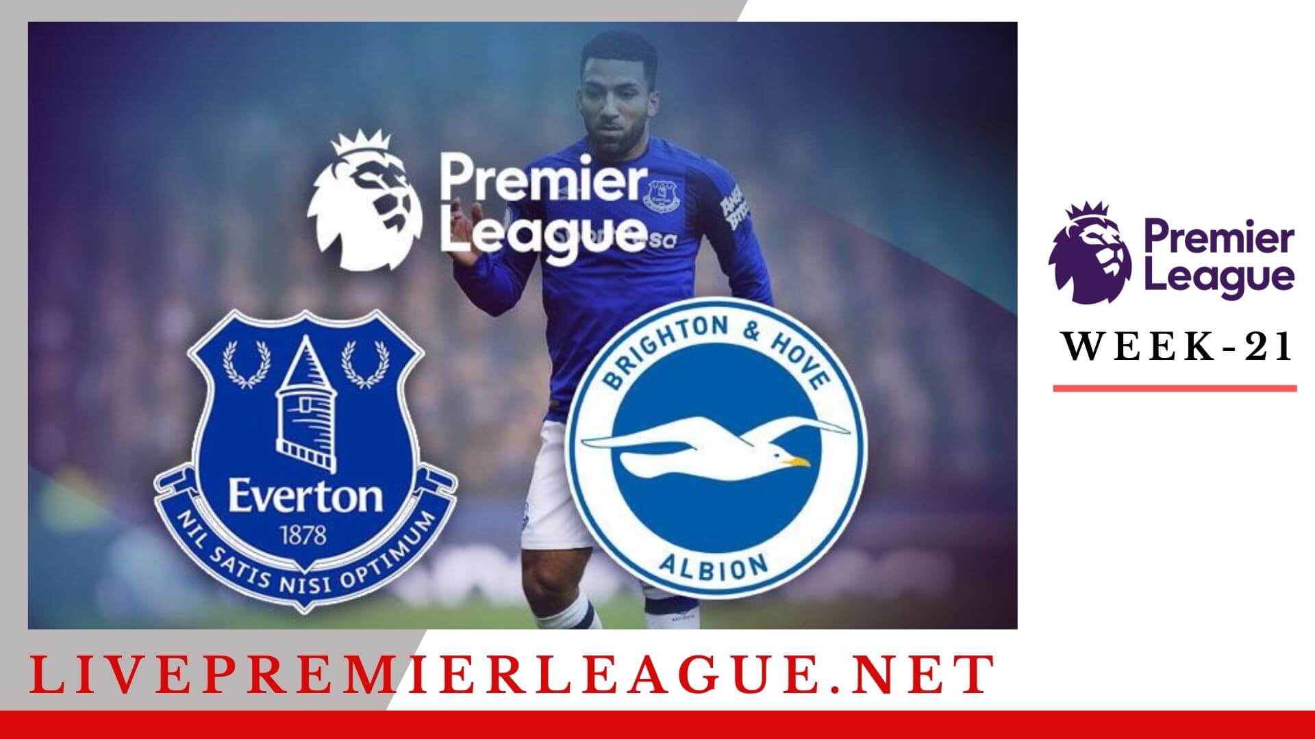 Everton vs Brighton and Hove Albion Live Stream  EPL Week 21